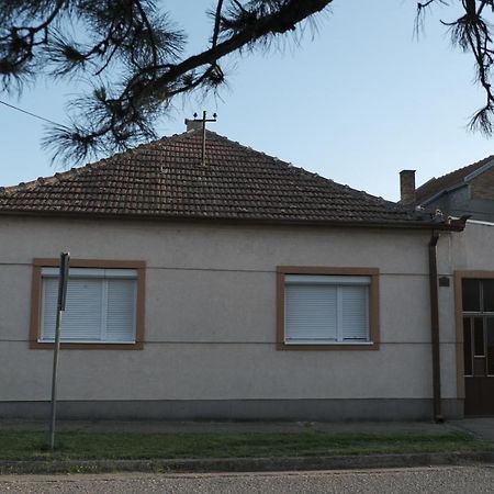 Appartamento Nikodijevic Vrsac Esterno foto