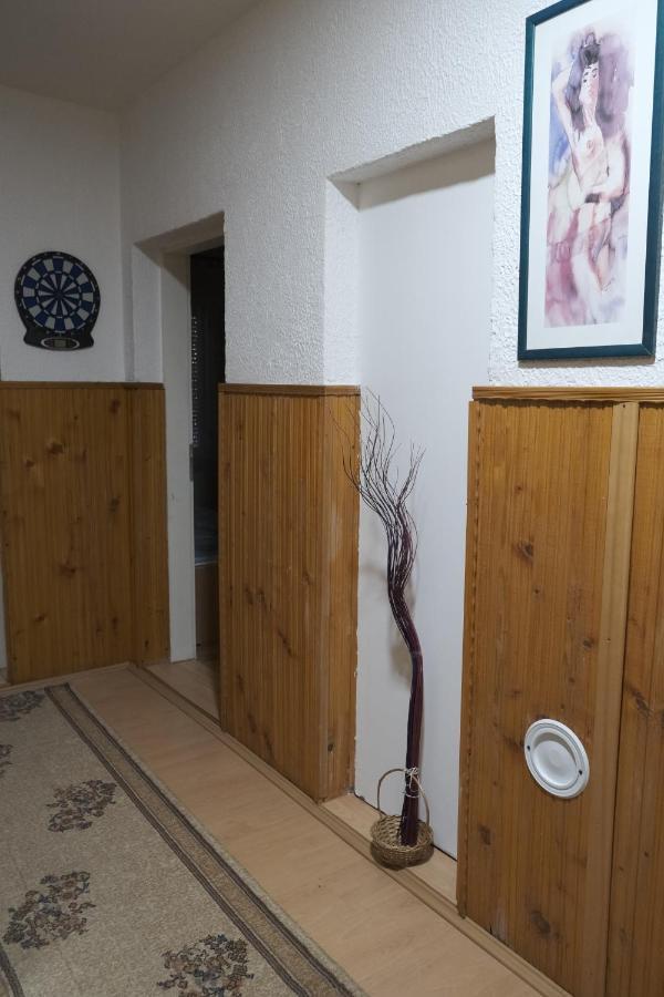 Appartamento Nikodijevic Vrsac Esterno foto