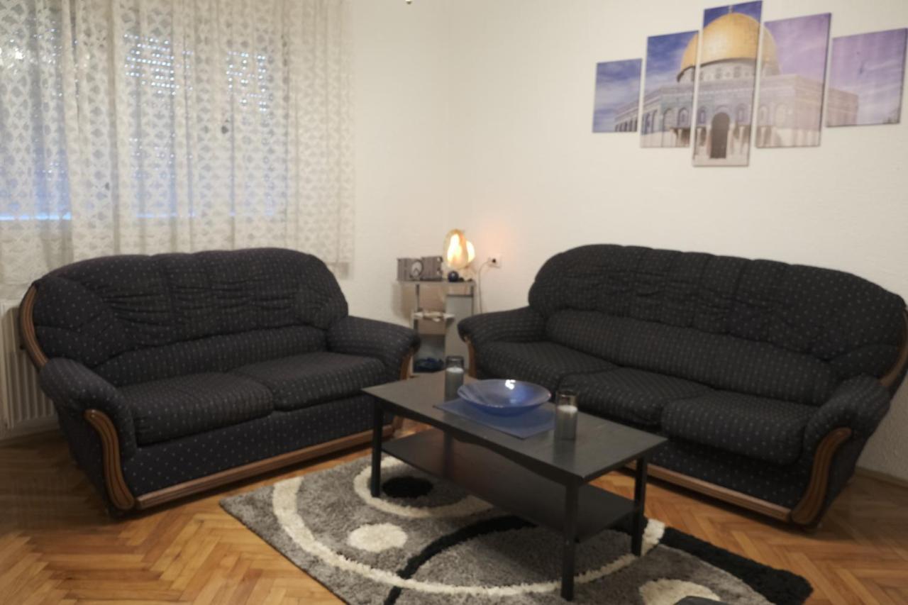 Appartamento Nikodijevic Vrsac Esterno foto